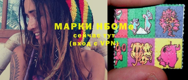 гидра Алексин