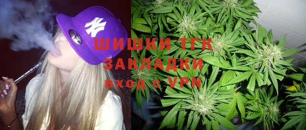 гидра Алексин