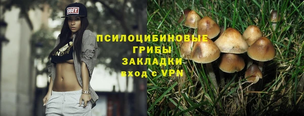 гидра Алексин