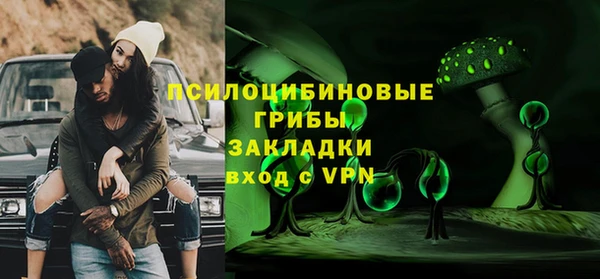 гидра Алексин