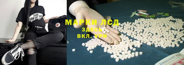 гидра Алексин